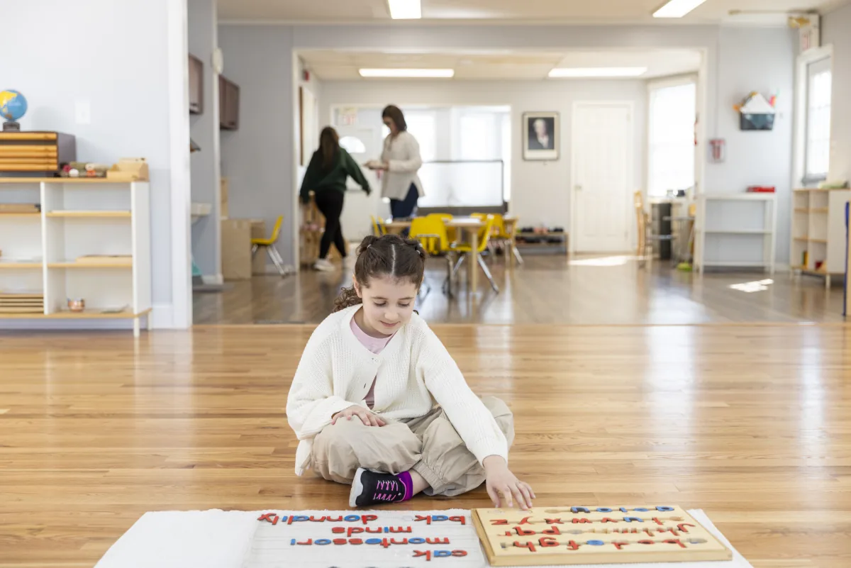 Gallery - image 66