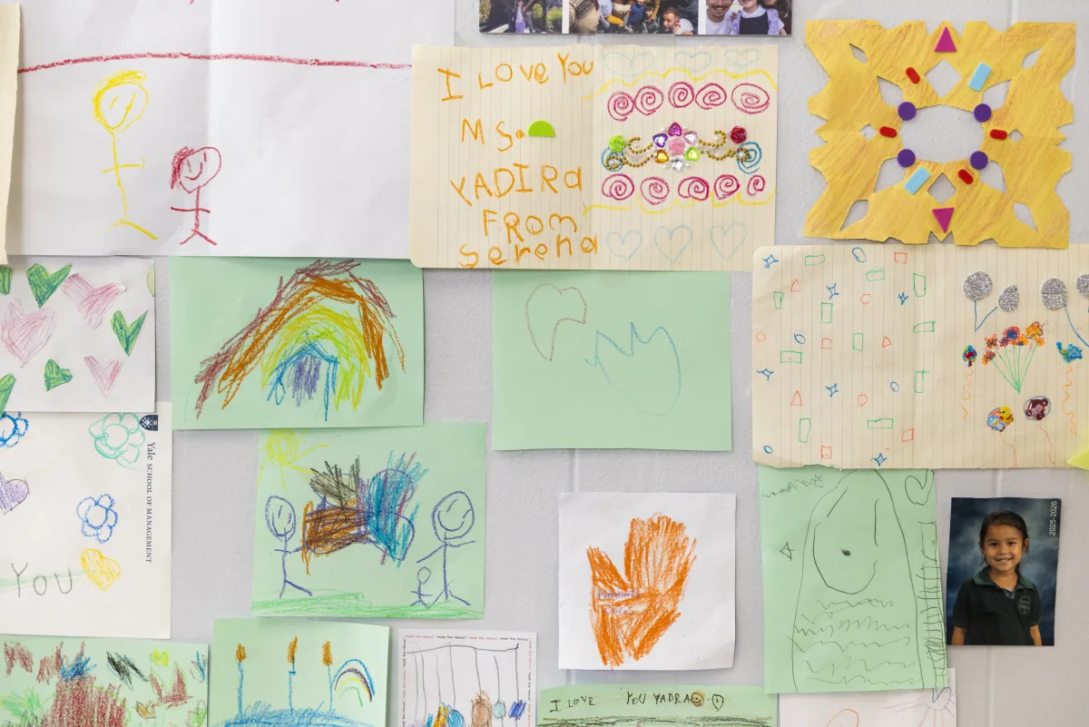 Gallery - image 87